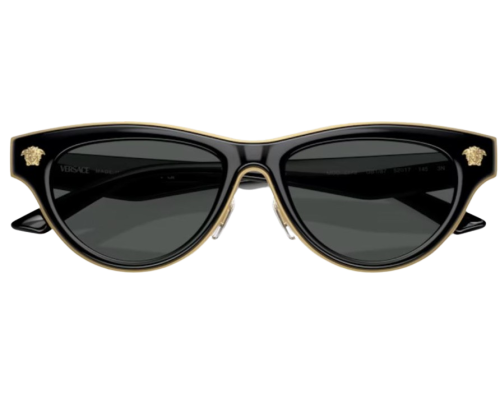 Lunettes de Soleil Versace VE2273