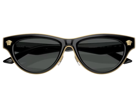219842-Zonnebril Versace VE2273