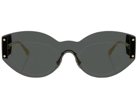 219881-Zonnebril Versace VE2276