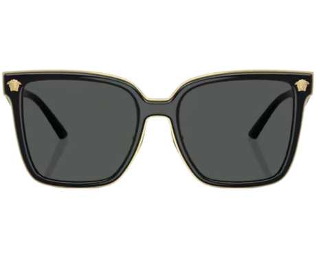 219927-Zonnebril Versace VE2278D