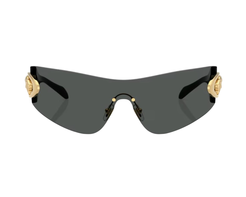 Lunettes de Soleil Versace VE2280