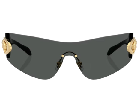 219931-Lunettes de Soleil Versace VE2280