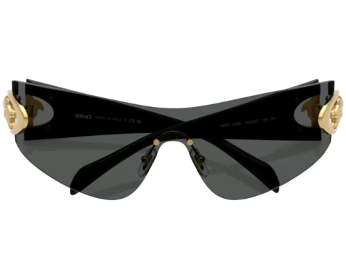 Lunettes de Soleil Versace VE2280