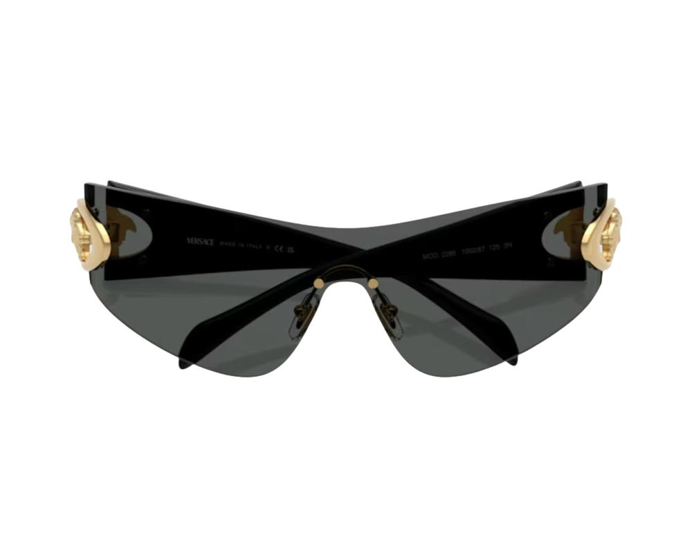Lunettes de Soleil Versace VE2280