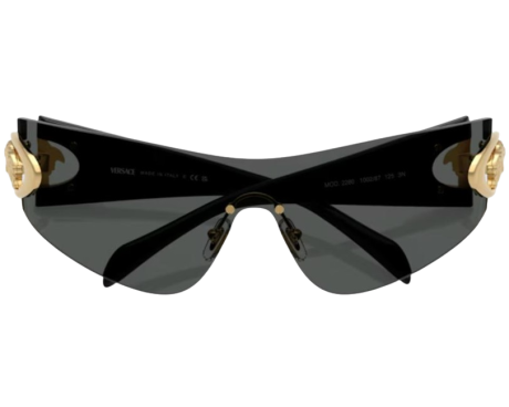 219932-Lunettes de Soleil Versace VE2280