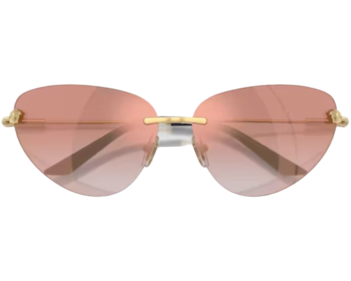Zonnebril Versace VE2281