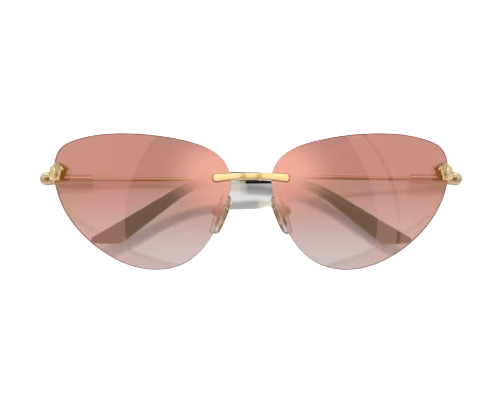 Zonnebril Versace VE2281