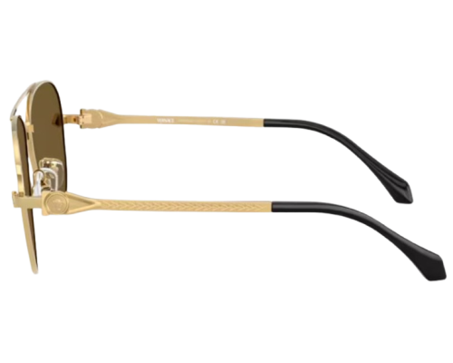 Lunettes de Soleil Versace VE2283
