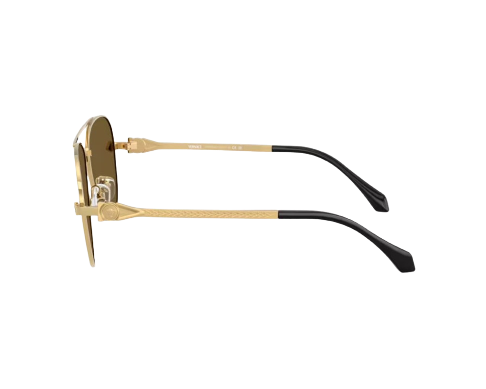 Lunettes de Soleil Versace VE2283