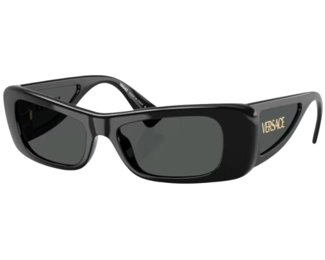 220140-Sunglasses Versace VE4481
