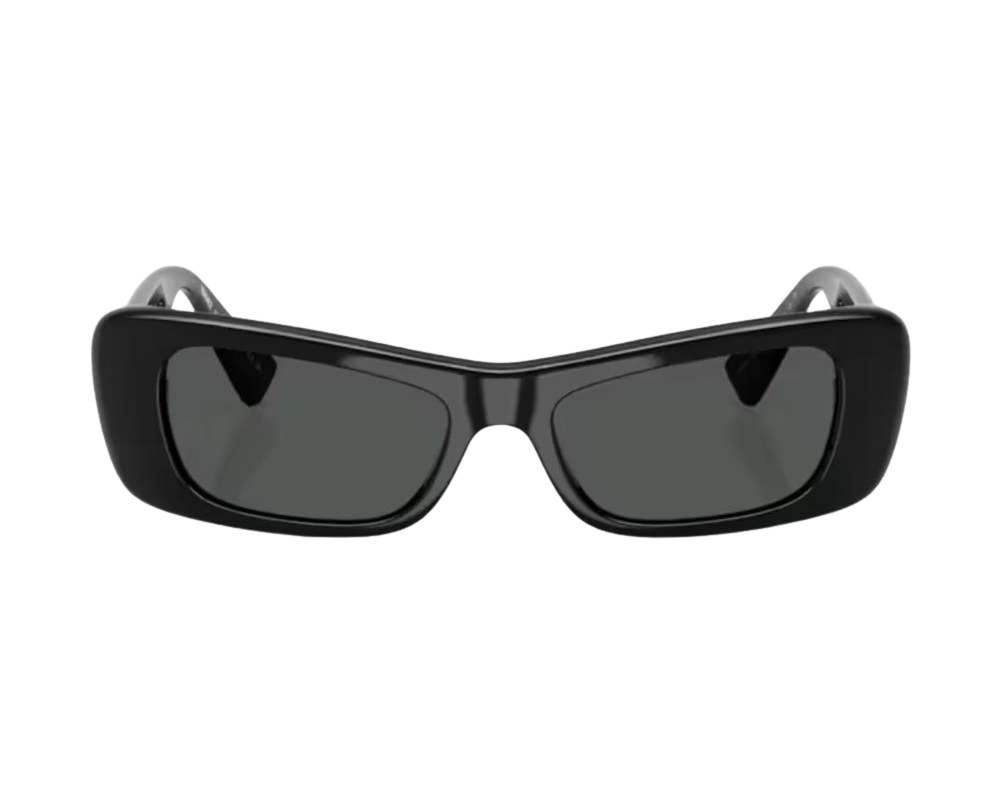 Sunglasses Versace VE4481