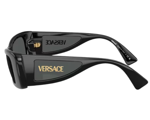 Sunglasses Versace VE4481