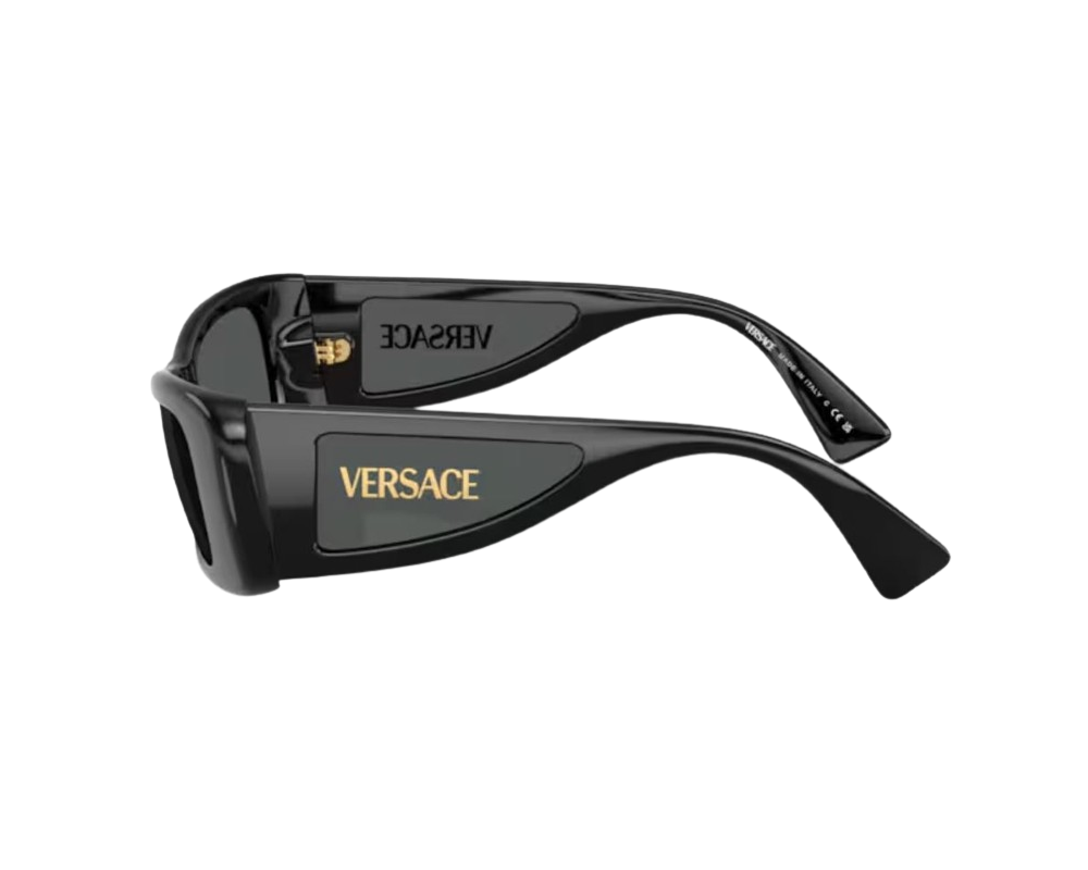 Sunglasses Versace VE4481