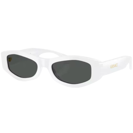 Sunglasses Versace VE4487