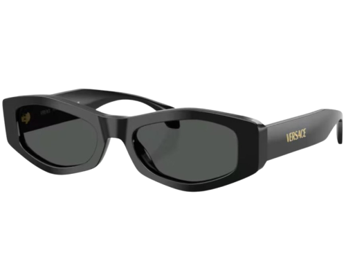 Sunglasses Versace VE4487