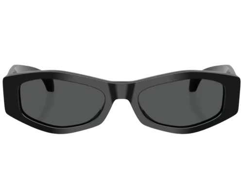 Sunglasses Versace VE4487