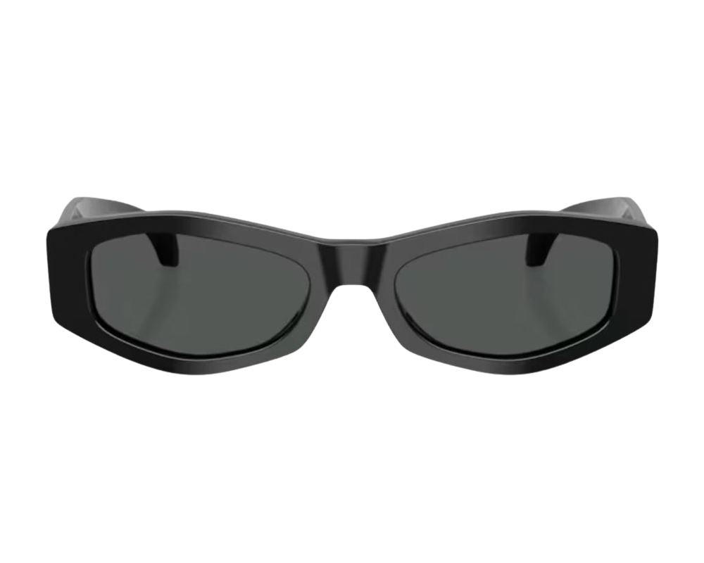 Sunglasses Versace VE4487