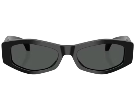 220277-Lunettes de Soleil Versace VE4487