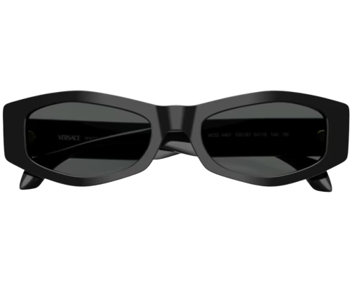 Sunglasses Versace VE4487