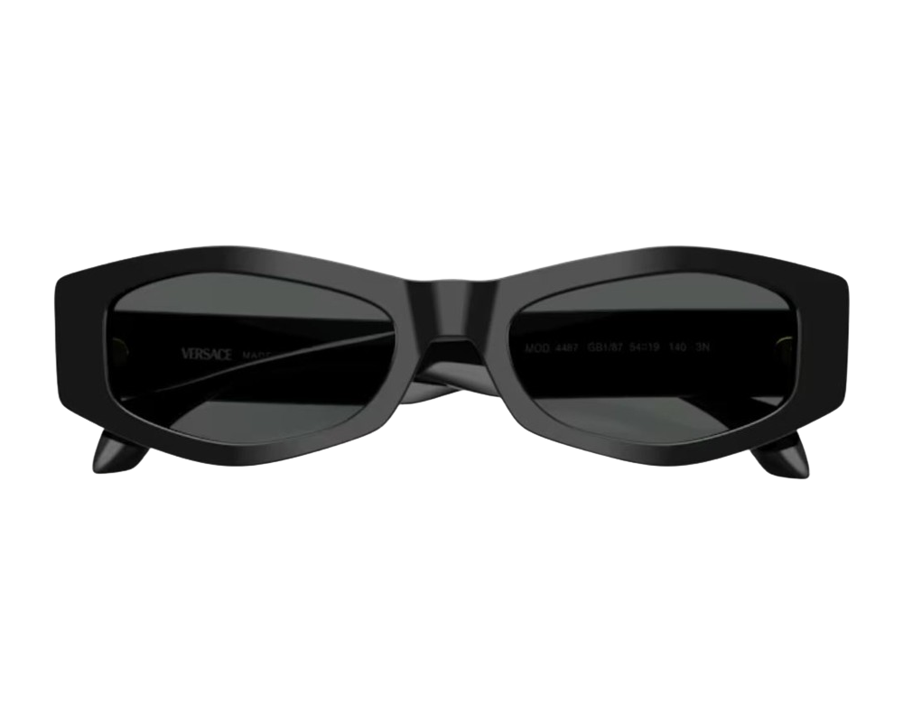 Sunglasses Versace VE4487