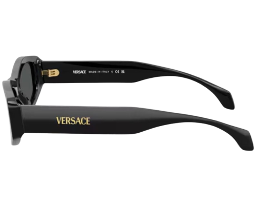 Sunglasses Versace VE4487