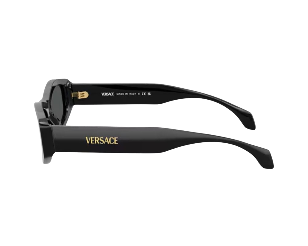 Sunglasses Versace VE4487