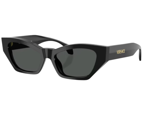 Zonnebril Versace VE4488U