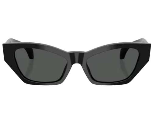Lunettes de Soleil Versace VE4488U