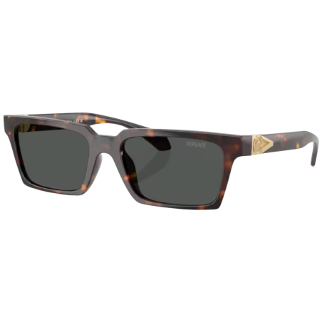 Lunettes de Soleil Versace VE4490U