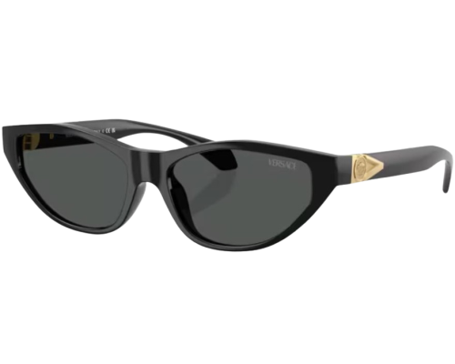 Zonnebril Versace VE4491U