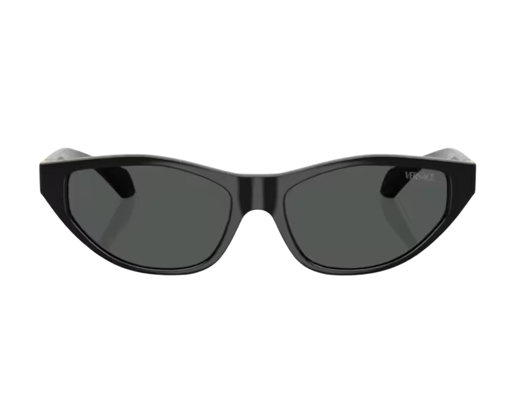 Zonnebril Versace VE4491U