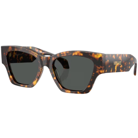 Sunglasses Versace VE4492U