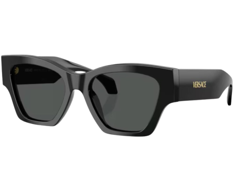 220356-Sunglasses Versace VE4492U