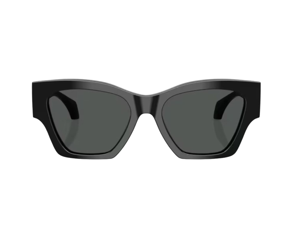 Sunglasses Versace VE4492U