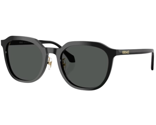 Lunettes de Soleil Versace VE4493D