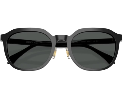 Lunettes de Soleil Versace VE4493D