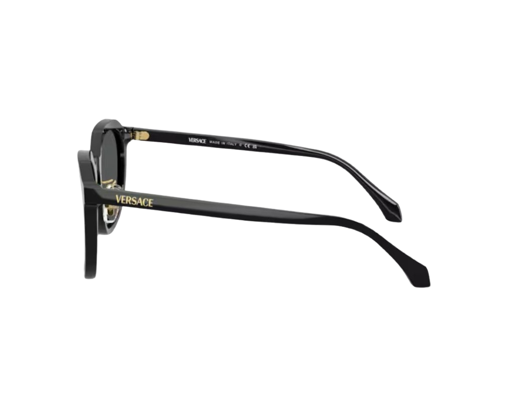 Lunettes de Soleil Versace VE4493D