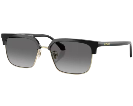220388-Lunettes de Soleil Versace VE4494D