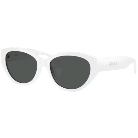 Lunettes de Soleil Versace VE4495D