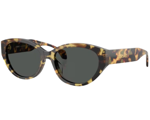 Lunettes de Soleil Versace VE4495D