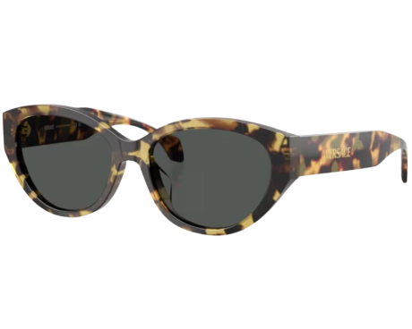 220400-Sunglasses Versace VE4495D