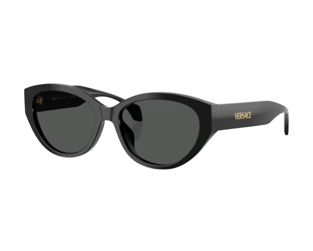 Sunglasses Versace VE4495D