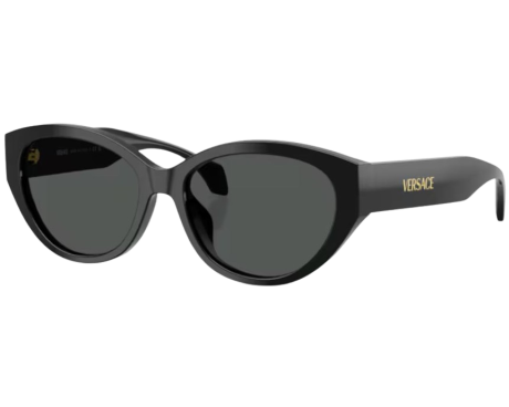 220405-Lunettes de Soleil Versace VE4495D