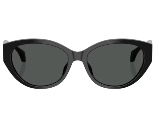 Sunglasses Versace VE4495D