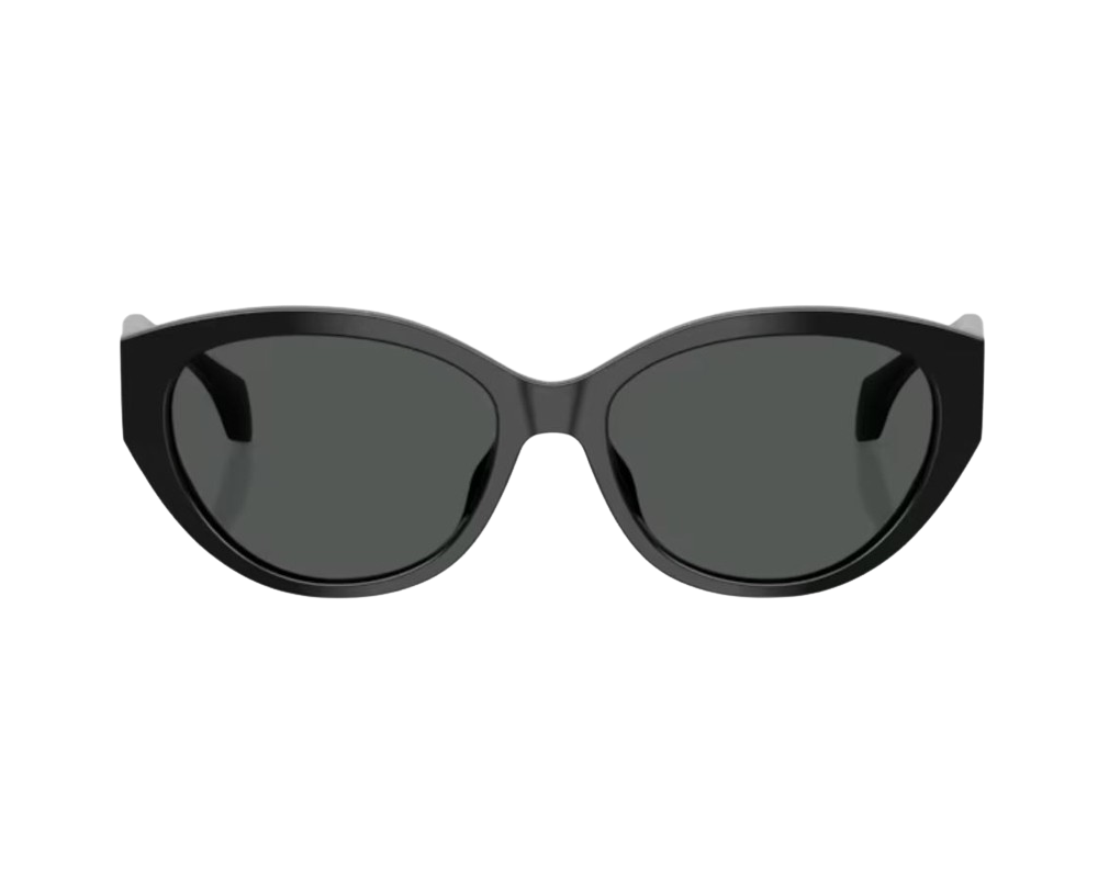 Lunettes de Soleil Versace VE4495D