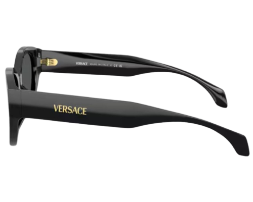 Lunettes de Soleil Versace VE4495D