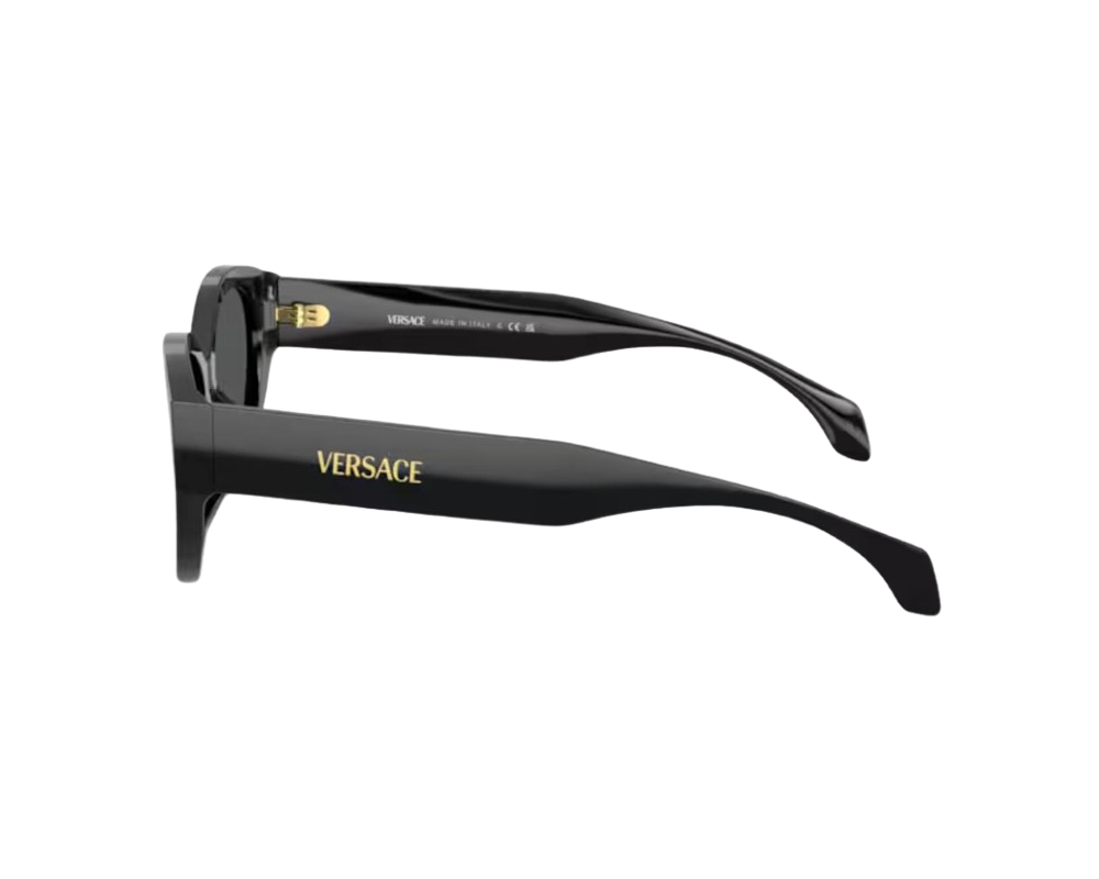 Lunettes de Soleil Versace VE4495D