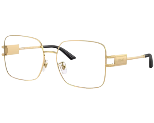 Bril Versace VE1303D