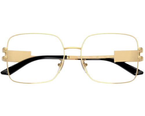 Bril Versace VE1303D
