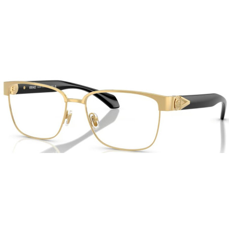 Bril Versace VE1306